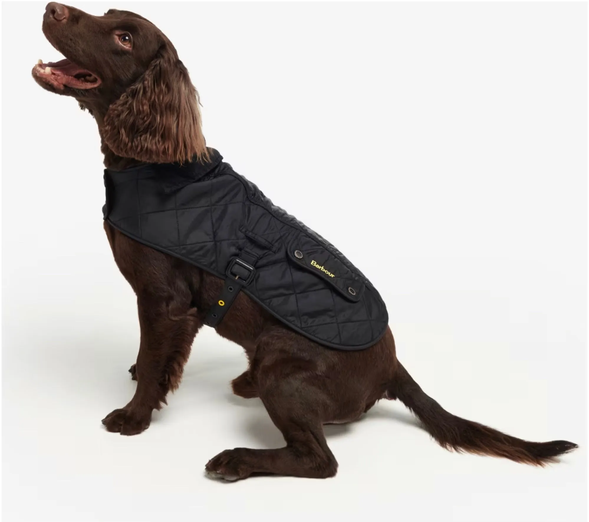 Barbour - Polar Dog Coat