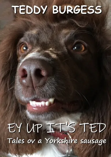 Ey Up It's Ted: Tales ov a Yorkshire Sausage